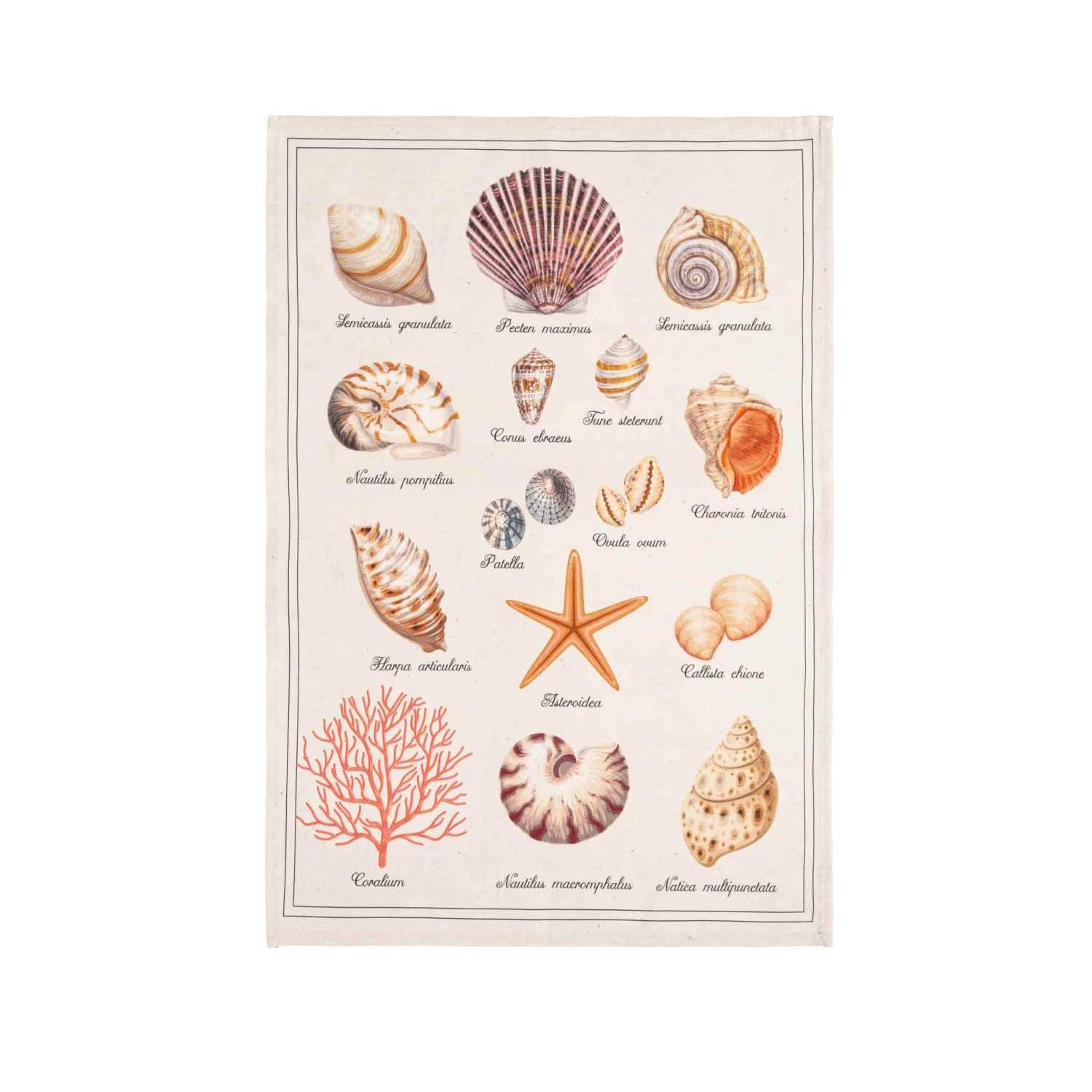 French Tea Towel - Tresors De La Mer 3 French Tea Towel - Tresors De La Mer