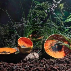 Bordallo Pinheiro Tropical Fruits Papaya Small Bowl, 14x14cm -Best Kitchenware Shop DC0207BordalloPinheiroTropicalFruitsServingPlatter PapayaLifestyle