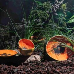 Bordallo Pinheiro Tropical Fruits Papaya Serving Platter, 35x23cm -Best Kitchenware Shop DC0207BordalloPinheiroTropicalFruitsServingPlatter PapayaLifestyle 1