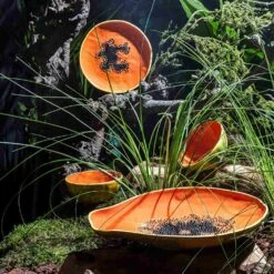 Bordallo Pinheiro Tropical Fruits Papaya Serving Platter, 35x23cm -Best Kitchenware Shop DC0207BordalloPinheiroTropicalFruitsServingPlatter Papayalifestyle 2