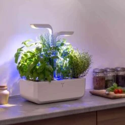 Veritable Classic Indoor Herb Garden -Best Kitchenware Shop HU0007VeritableClassicIndoorHerbGardenlifestyle4