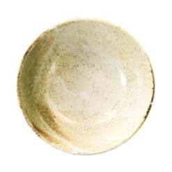 Yukishino Ramen Bowl -Best Kitchenware Shop JA0030 YukishinoRamenBowl Overhead