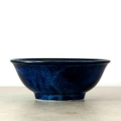 Blue Sakura Ramen Bowl -Best Kitchenware Shop Untitled 1 0003 2 bluesakuraramenbowlside jpg