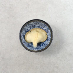 Blue Wave Noodle Bowl