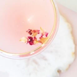 Rainbow Coupe Champagne Glass -Best Kitchenware Shop VBOW P52151 LSALT 2 1800x1800