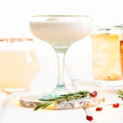 Rainbow Coupe Champagne Glass -Best Kitchenware Shop VBOW T52151 LSALT 2 1800x1800